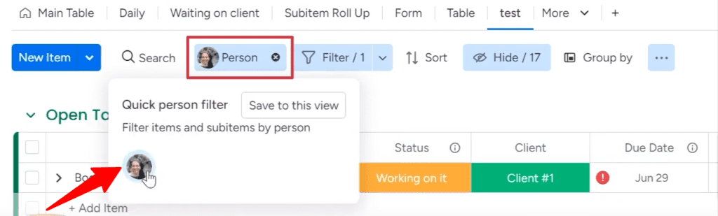 views filter by person