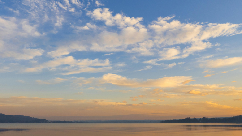 monday.com case study non-profit governance