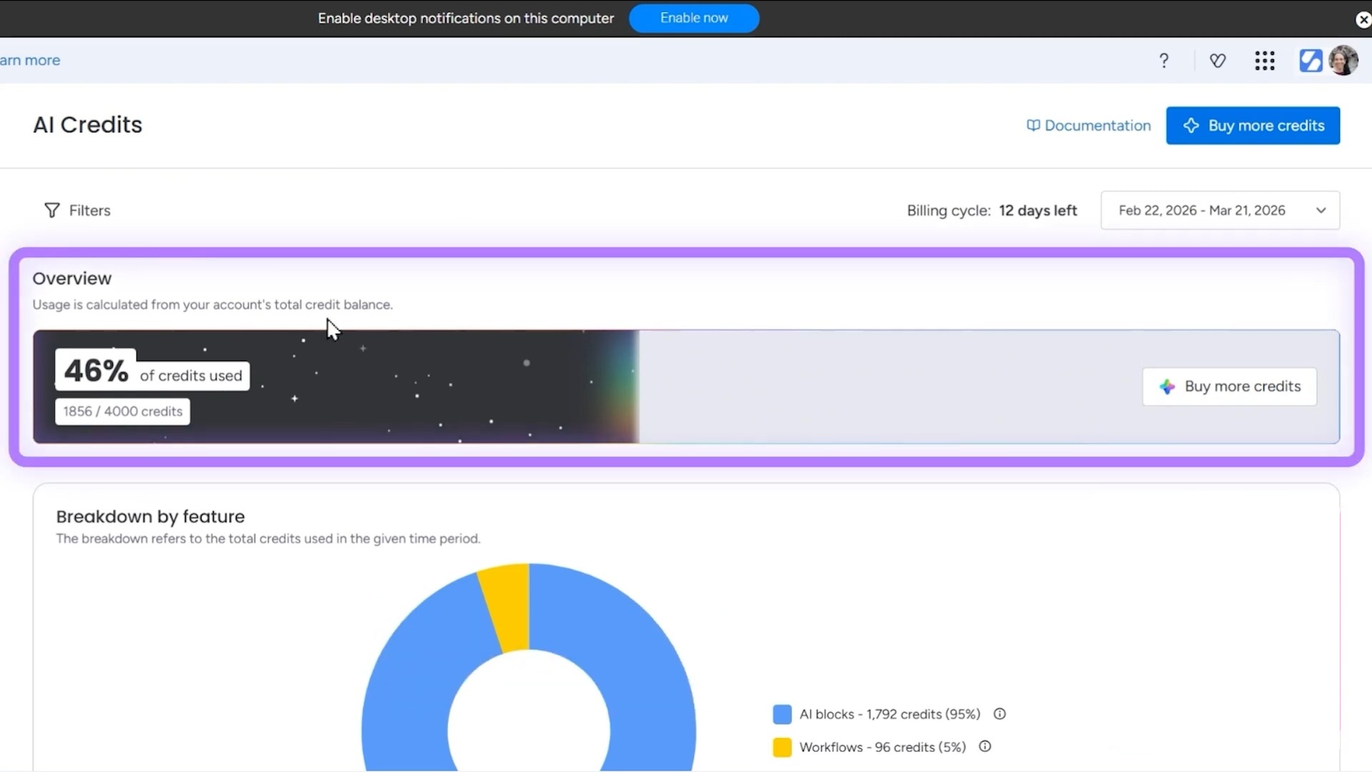 ai credits usage overview