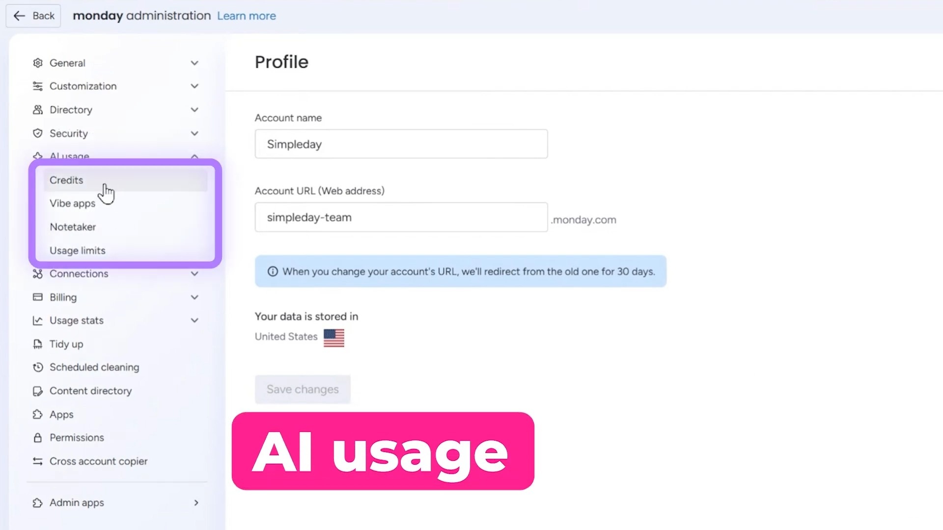 monday.com ai usage options